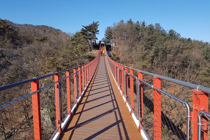 Premium Private DMZ Tour & (Suspension Bridge or N-Tower) include lunch - A Deep Dive into the Experience