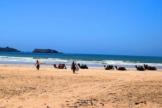 Premium Surf Trip to Essaouira from Marrakesh - Detailed Breakdown of the Itinerary