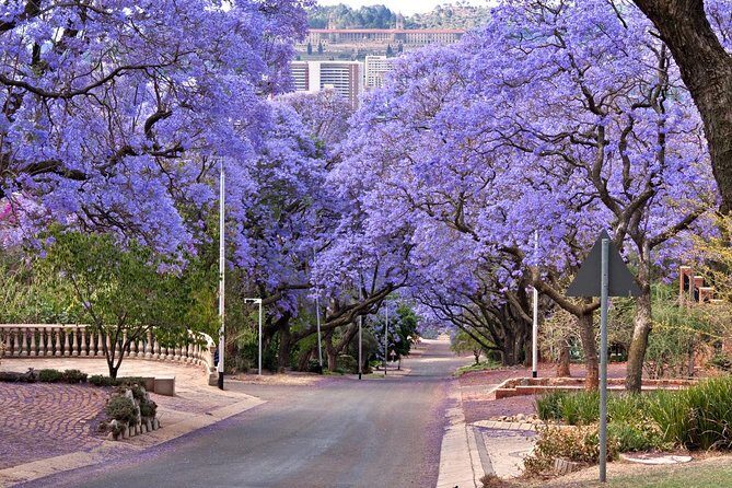 Pretoria Sightseeing Day Trip from Johannesburg - In-Depth Look at the Itinerary