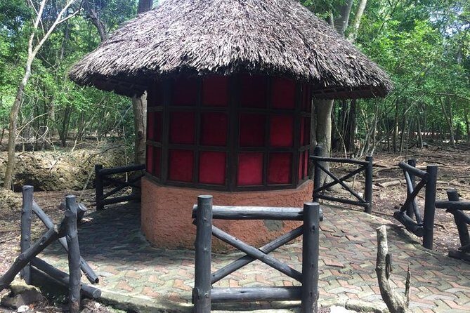 Prison Island and Nakupenda Private tour - Full day + Seafood Buffet - What Could Be Improved?