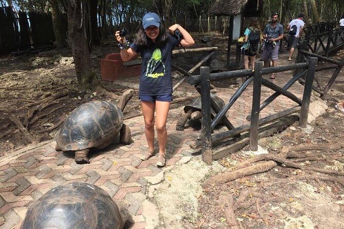 Prison Island and Stone Town Private Tour - Why This Tour Offers Good Value
