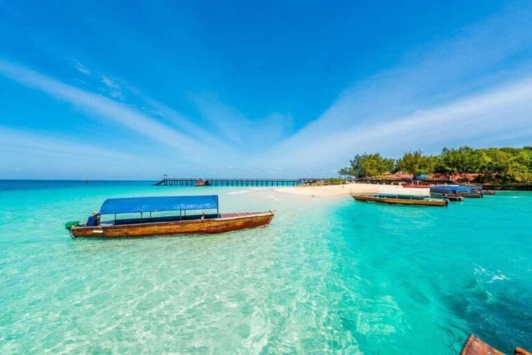 Prison Island, Nakupenda Beach & Salaam Sea Turtle Sanctuary - Who Will Love This Tour?