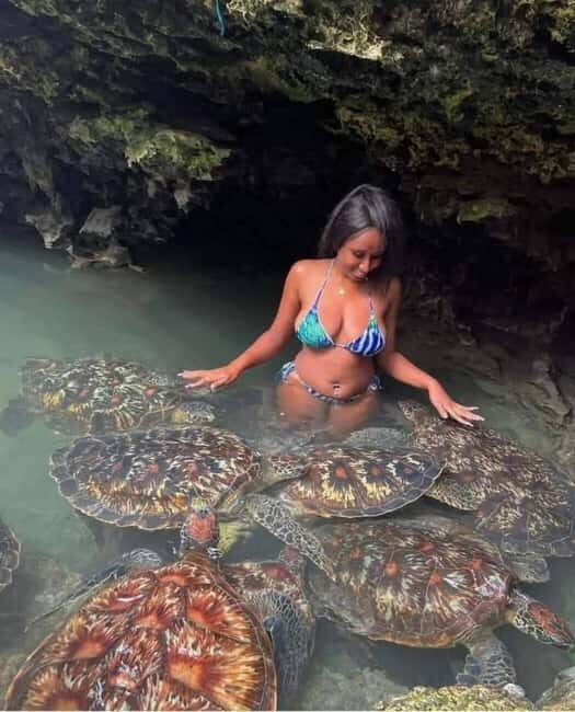 Prison Island, Spice Farm, Sea Turtles & The Rock Restaurant - Practical Details and Value Analysis