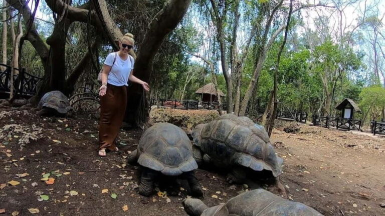 Prison island, Stone town, Spice farm and Jozani Forest tour - Final Thoughts