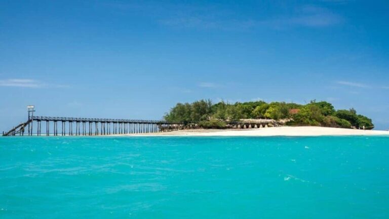Prison island,Nakupenda SandBank,Stone town and Spice farm - Authentic Experiences and Traveler Feedback