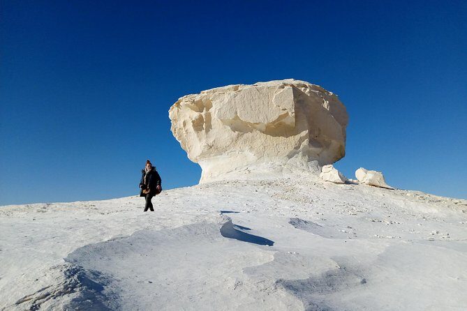 Privat White desert and Bahariya oasis 2 days with camping - Day 2: Sunrise, Sandboarding, and Return to Cairo