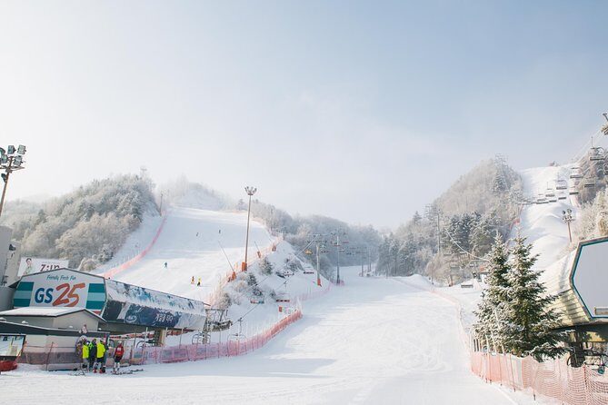 Private 1:1 Ski Lesson near Seoul, South Korea - Who Is This Tour Best For?