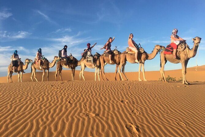 Private 2-day desert tour from Marrakech to Zagora - Final Thoughts: Who Should Consider This Tour?