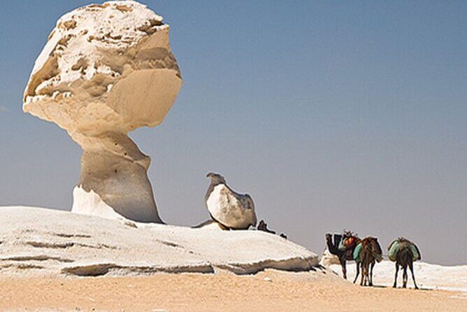 Private 2 Days Jeep Safari to White Desert and Bahariya Oasis - Logistics, Value, and Practical Notes