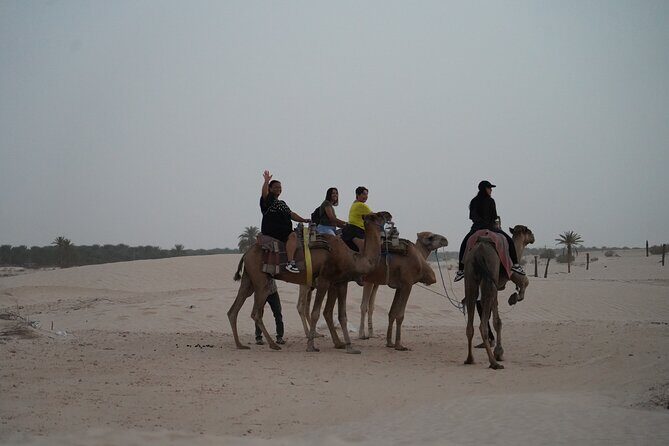 Private 3 Day Tour in Southern Tunisia or More - Who Will Love This Tour?