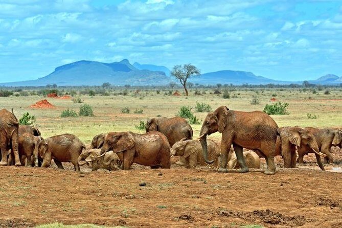 Private 3 Day Tsavo East Safari from Mombasa - What You Can Expect from the Itinerary