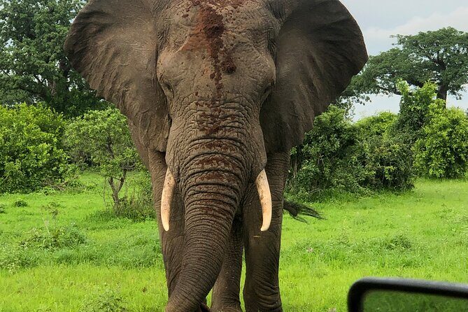 Private 3 Days 2 Nights Mikumi Adventures - What Youll Love About This Tour