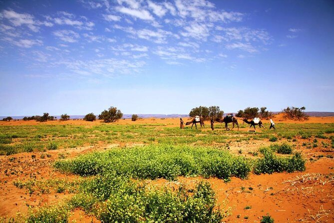 Private 3-days Desert tour from Zagora to Erg chigaga Dunes & Camel trek - What’s Included & What’s Not