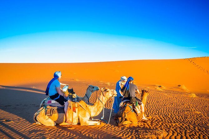 Private 3 Days Desert trip from Marrakech to Merzouga and back to Fez - What Makes This Tour Stand Out?