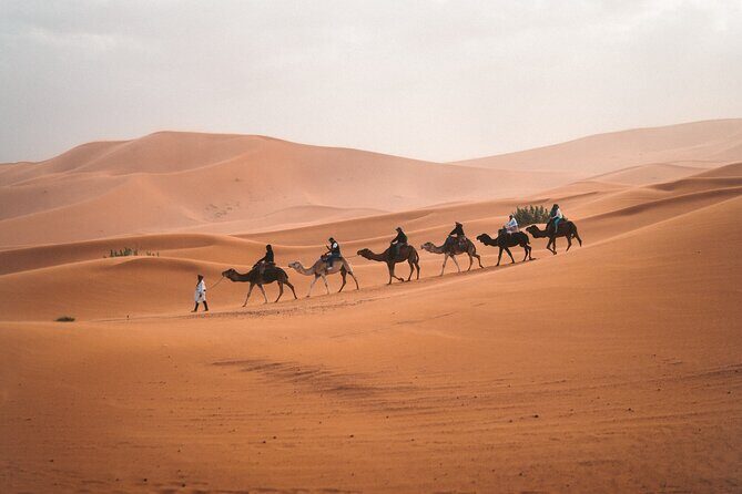 Private 3 Days Tour from Marrakech to Merzouga - The Desert Camp Experience: Sleep Beneath the Stars
