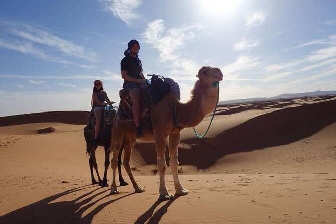 Private 4 Days Tour From Marrakech To Fes Via Erg Chebbi Desert - Who Should Consider This Tour?