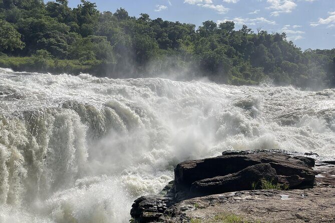 Private 5-Day Kidepo Valley and Murchison Falls National Parks - Who Will Love This Tour?