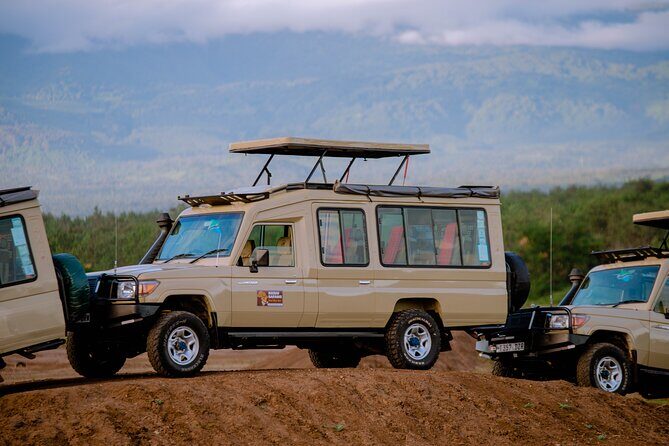 Private 5-Days Serengeti Trails with Kojuu Safaris - The Itinerary in Detail: What to Expect
