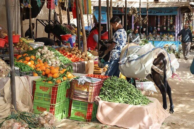 Private 8 Days Morocco Tour From Marrakech with Sahara Desert - Who Will Love This Tour?