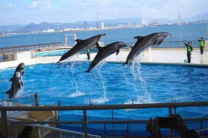 Private 9 persons Chartered Bus in Fukuoka - What Makes This Tour a Great Choice