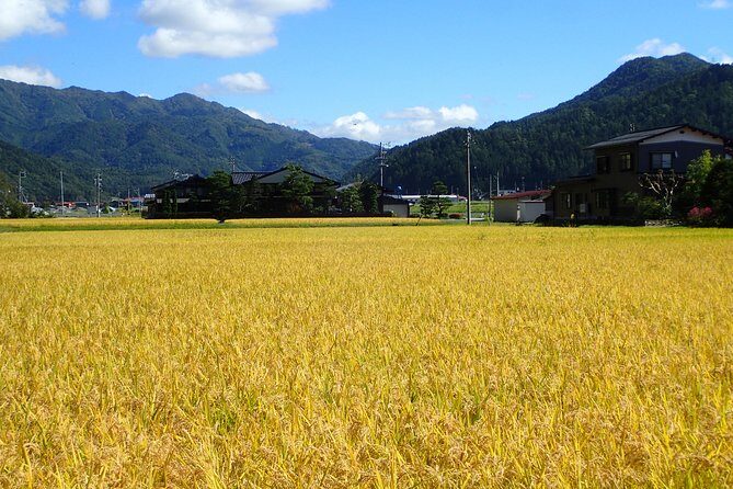 Private Afternoon Cycling Tour in Hida-Furukawa - What Makes This Tour Stand Out?