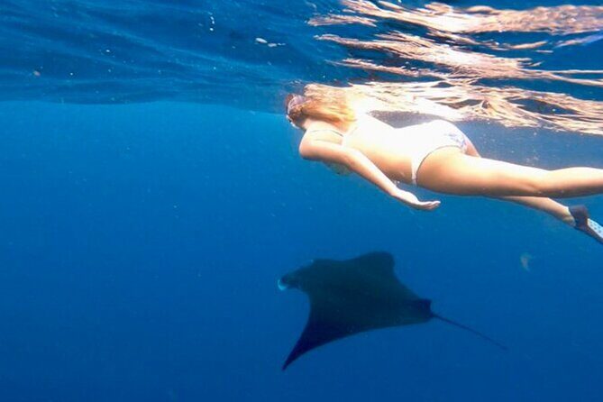 Private All Inclusive Nusa Penida Snorkeling and Tour - Why This Tour Is a Great Choice