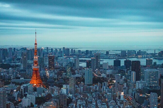 Private and Customisable Tokyo Tour with English Driver-guide - Practical Details and What to Expect