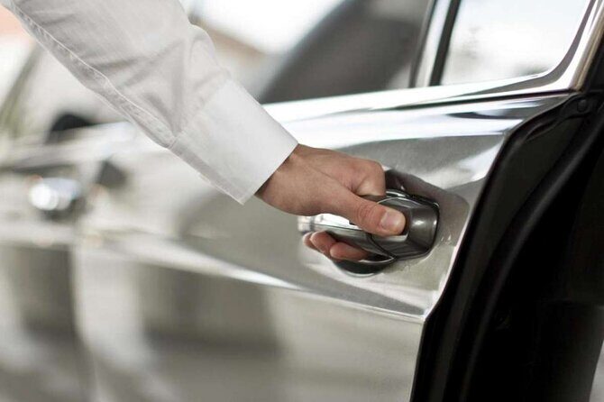 Private Arrival Transfer: Tunis Airport to Tunis Hotel - The Details of the Transfer Experience
