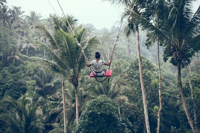 Private Bali Car Charter with Driver up to 6 People - An In-Depth Look at the Experience