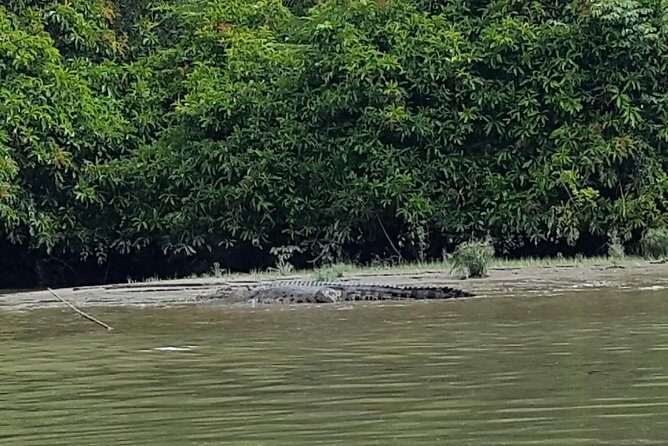 Private Bandar Highlight, Water Village & Proboscis Monkey Tour - Authenticity and reviews from past travelers