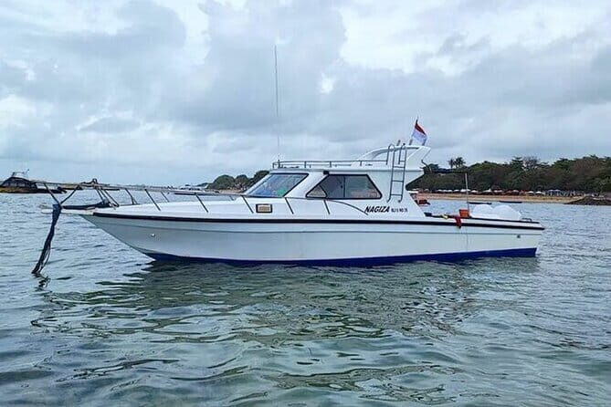 Private Boat Charter Nusa Penida Day Trip - The Sum Up: Is This Tour Worth It?