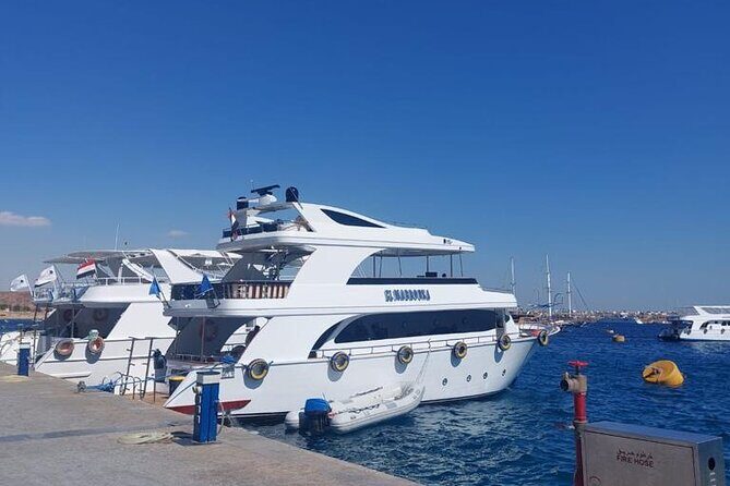 Private Boat Rental in Sharm El Sheikh - Why This Private Boat Tour Offers Value