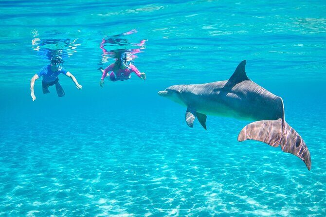 Private Boat to Dolphin House Full day Snorkeling Sea Trip Max 10 Pax - Hurghada - The Experience in Practice: What Youll Notice