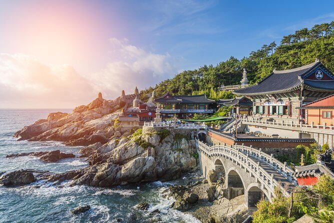 Private Busan Tour with hidden gem of Busan by Local Guide - Who Should Book This Tour?