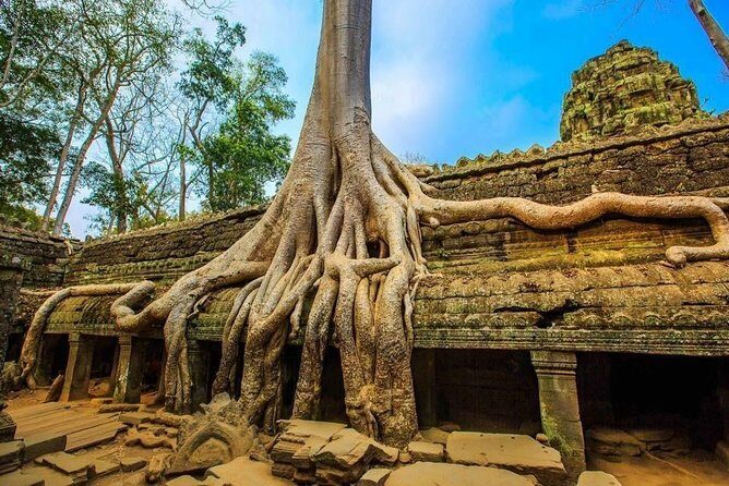 Private Cambodia 5 Days Tour from Siem Reap to Phnom Penh - In-Depth Itinerary Breakdown: What Makes Each Stop Special