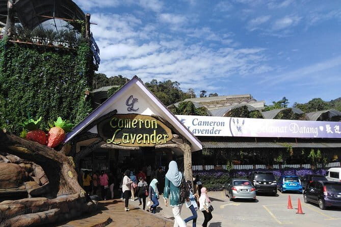 Private: Cameron Highlands 2 days 1 night Trip - Exploring Cameron Highlands: A Practical and Authentic Review