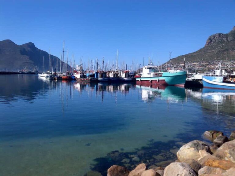Private Cape Peninsula + Kirstenbosch Garden Guided Tour - What to Expect and Practical Tips