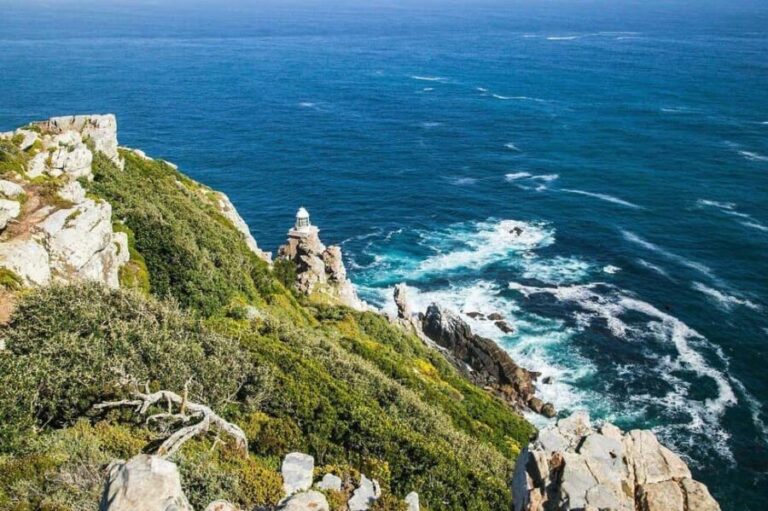 Private Cape Peninsula Tour - Included & Not Included
