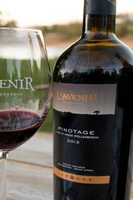 Private Cape Peninsula with Winelands Full-day Tour. - What’s Included & Whats Not