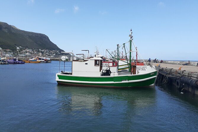 Private Cape Point / Peninsula Tour - How the Experience Works for You