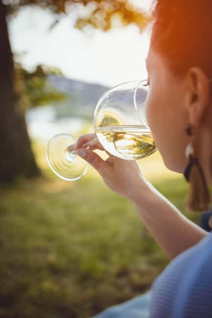 Private Cape Winelands Wine Tasting Tour incl. Transport - Frequently Asked Questions (FAQs)