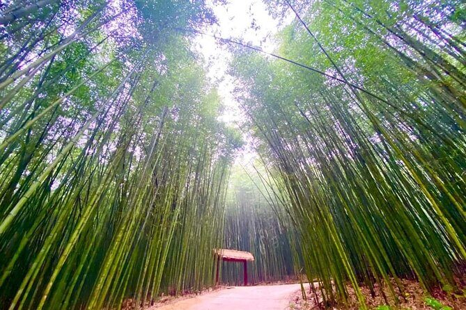 Private Car and Tour Guide Exploring Northern Vietnam - Practical Considerations and What You’ll Love