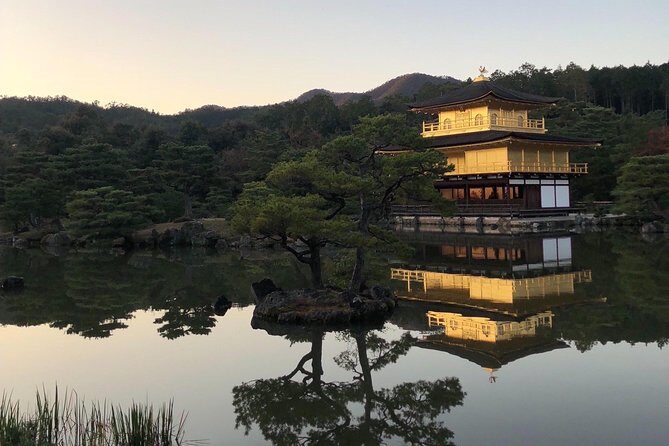 Private car tour in Kyoto (up to 9) - Insights from Traveler Reviews