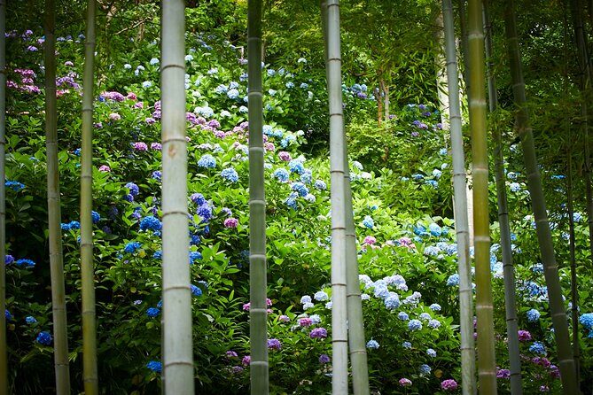 Private Car Tour to see Highlights of Kamakura, Enoshima, Yokohama from Tokyo - Why This Tour Offers Great Value