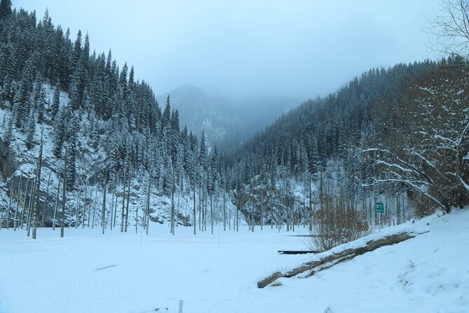 Private Charyn Canyon, Kolsai Lake with Optional Kaindy Lake tour - Detailed Breakdown of the Itinerary
