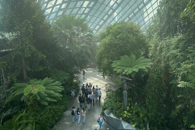 Private City Car Tour Singapore (4 Hours or 8 Hours) - Who Should Consider This Tour?