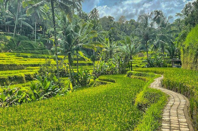 Private Customize Ubud Day Tour With Experienced Driver - What to Expect: Transportation, Timing, and Value