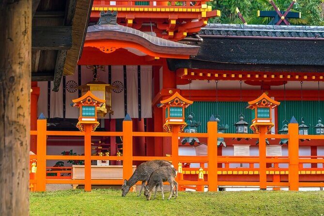 Private Customized 3 Full Days Tour Package: Discover Kyoto, Arashiyama and Nara - Final Thoughts