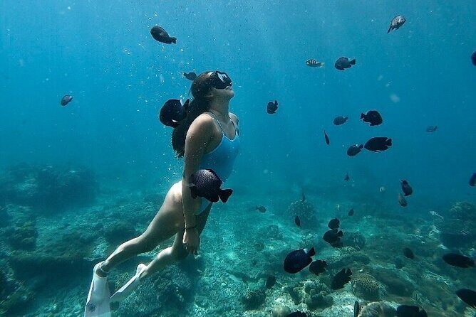 Private Customized Tour with Local Guide - Why Choose This Tour?
