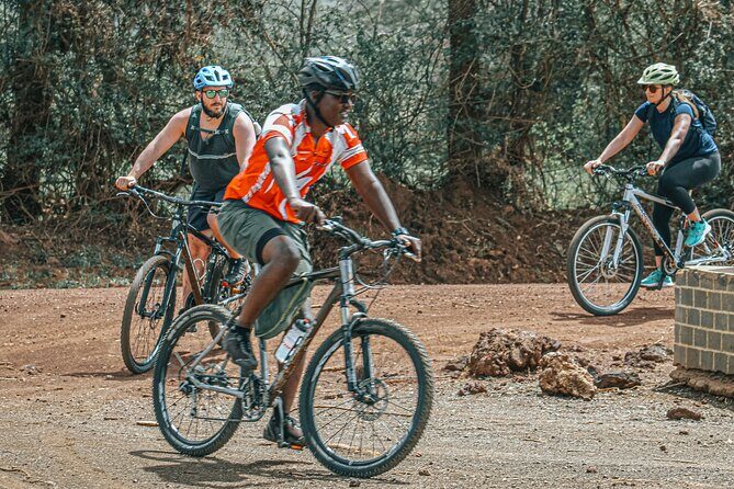 Private Cycle to Kilimanjaro Bike Park Safari - Why This Tour Stands Out